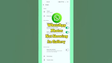 whatsapp ke photo gallery me kaise laye ||whatsapp images not showing in gallery||#shorts #viral