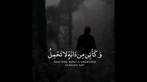 الذين صبروا وعلى ربهم يتوكلون 😊🎧 سورة العنكبوت / القارئ عبدالرحمن مسعد #quran #قرآن