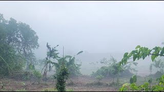 Mahamog Ma Umaga