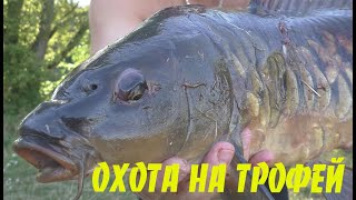 ПОДВОДНАЯ ОХОТА - ВЗЯЛ ХОРОШИЙ ТРОФЕЙ. Жаркое на костре 俄罗斯钓鱼