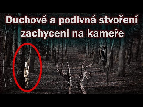 Video: Podivná Strašidelná Aktivita Spozorovaná V Barovej Reštaurácii V Kalifornii - Alternatívny Pohľad