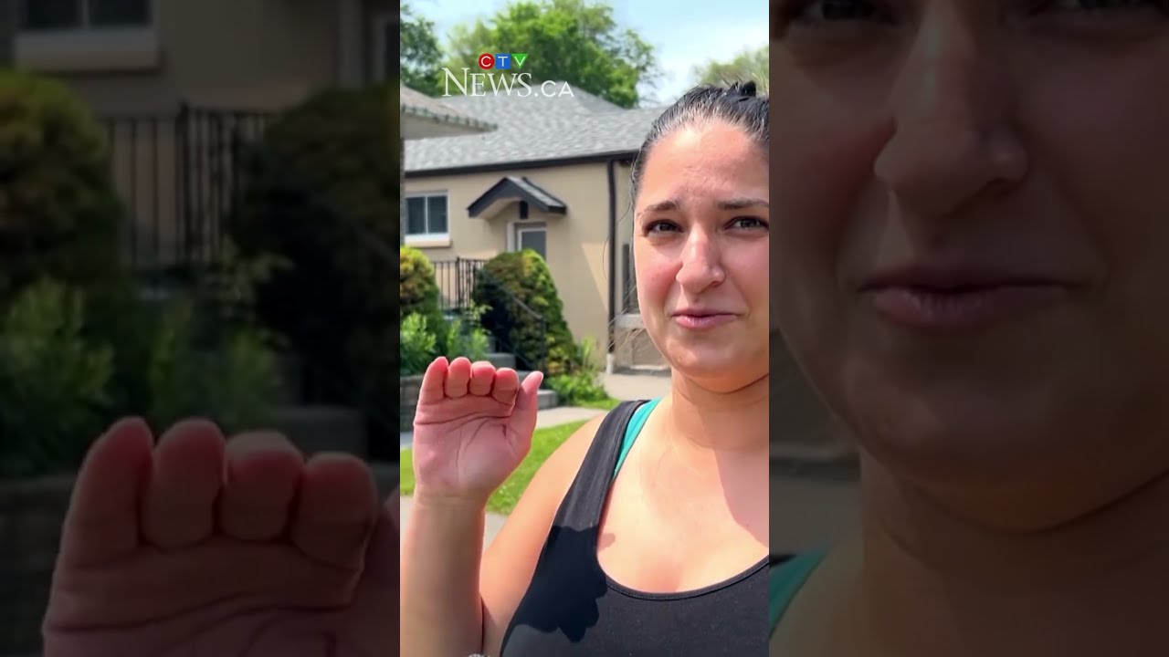 Red Winged Blackbirds Attack Etobicoke Residents