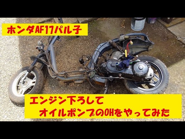 №40 HONDA AF17 PAL パル完成 - YouTube
