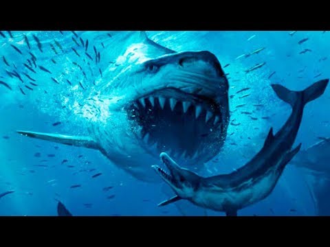 5 Самых Ужасных Доисторических Акул 2 часть