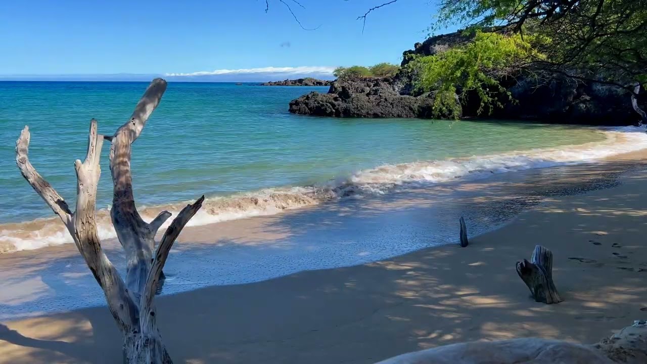 Near the Cove at Waialea Bay 2 of 2 - Island Horizon Videos 2071
