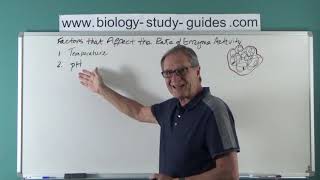 Enzymes and Metabolism - Part 3: Factors that affect the Rate of Enzyme Activity