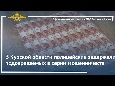 Ирина Волк: В Курской области полицейские задержали подозреваемых в серии мошенничеств