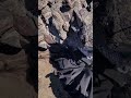 #satvik #shorts #viral  #video