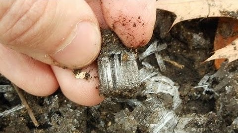 Ice lensing: how frost heaving works