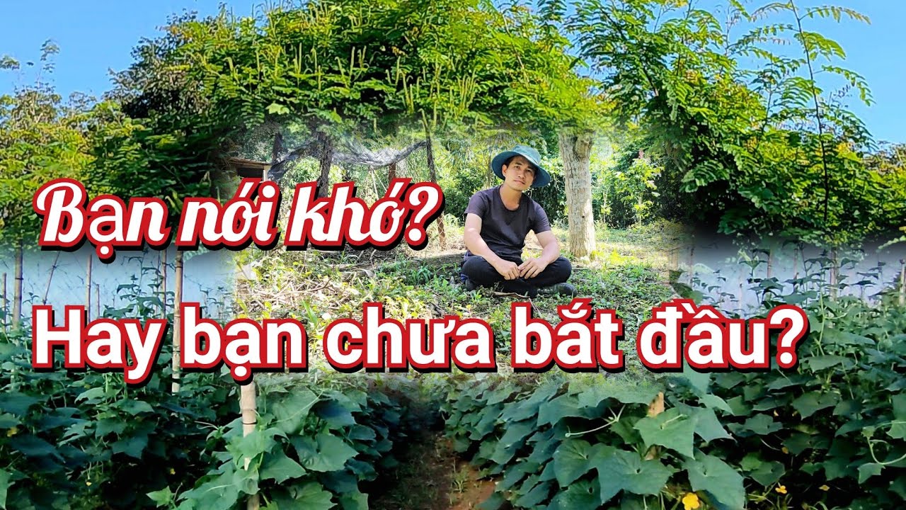 Từ Hai Bàn Tay Trắng Đến Thu Nhập Từ Vườn Rau Xanh - Cách Khởi Nghiệp Nông Nghiệp Khi Không Có Đất