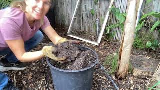 Turning and sifting compost in a Geo-Bin composter