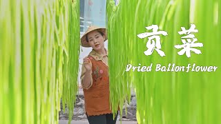 Yunnan Dried Ballonflower — особый «овощ», который мы едим после того, как он высушен