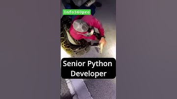 junior vs senior python developer #shorts #python #snakevideo #snake