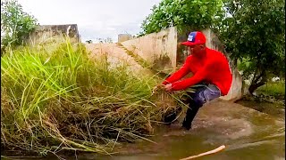 Activity After Clog Remove Floating Plants Clogged Massive Dam Drain Water