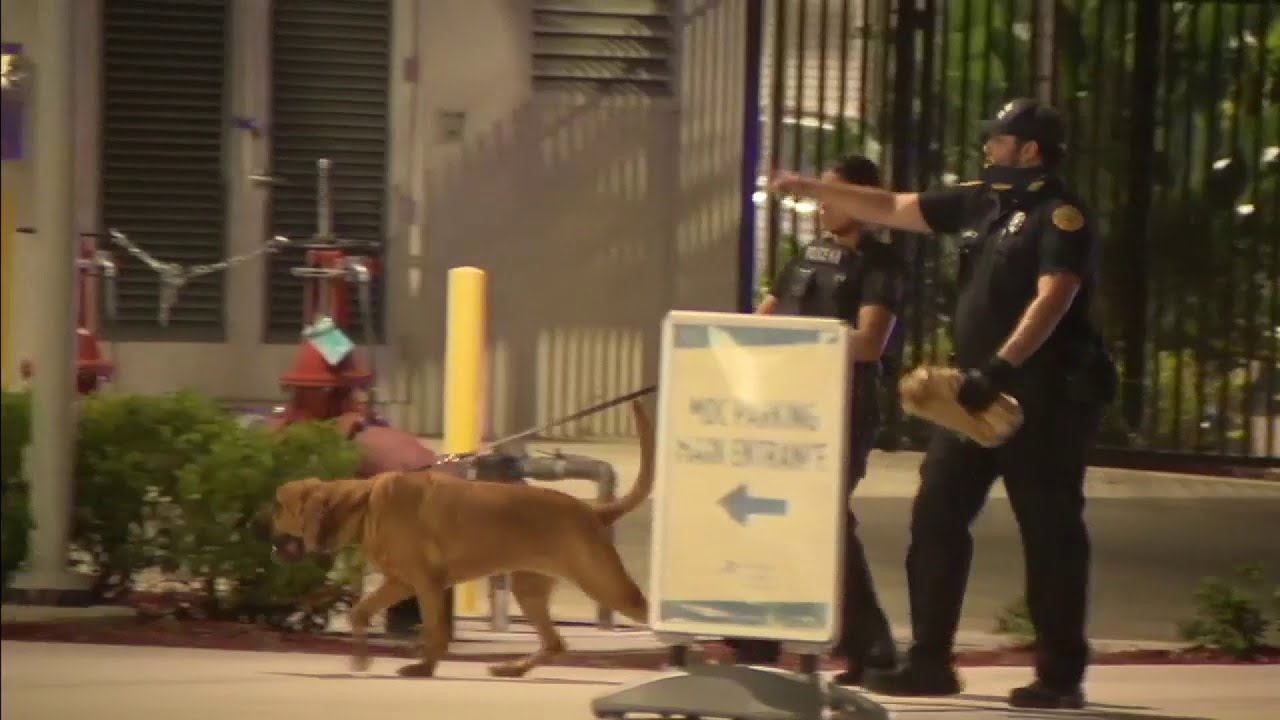 Police search ongoing after suspect escapes police custody at Jackson ...