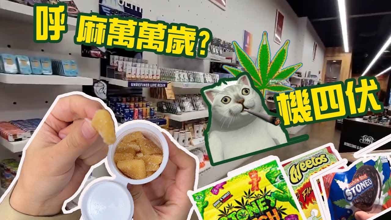 世說新聞╱探訪LA大麻店 大麻糖吃後啥感覺? YouTube