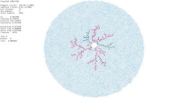 Viscous fingering, network model, test