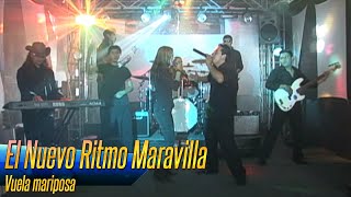 El Nuevo Ritmo Maravilla - Vuela mariposa chords