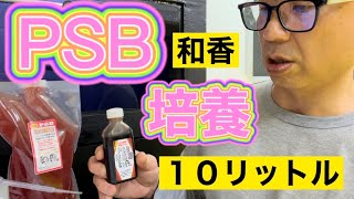 和香・光合成細菌　PSB 10L培養セット　商品開封