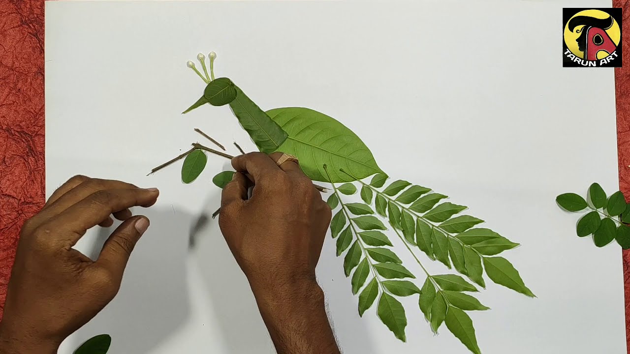 How to draw a peacock by spray painting.// Spray painting with tooth brush. Tarun Art. Part-1.