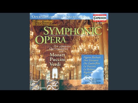 Tosca (arr. for orchestra) : Tosca, Act II: Vissi d'arte (arr. for orchestra)