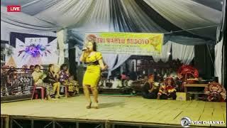 Selendang Biru - AIDA KANISA Jaranan tri wahyu budoyo || live segawe pagerwojo