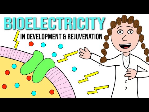 Video: Vai elektrība un bioelektrība?