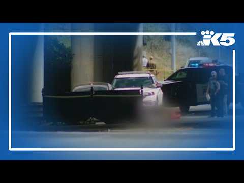 2 people shot and killed in broad daylight in Kent