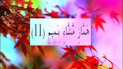 القران الكريم سورة القلم الأية  11.wmv