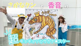 シャーク香音よりお知らせ