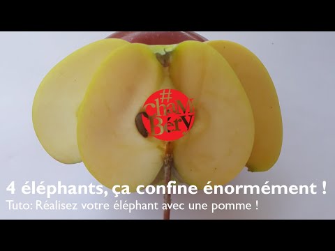 Vidéo: Pomme D'éléphant