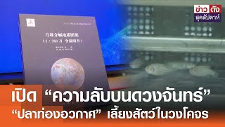 เปิด “ความลับบนดวงจันทร์”  “ปลาท่องอวกาศ” เลี้ยงสัตว์ในวงโคจร | ข่าวดัง สุดสัปดาห์ 27-04-2567