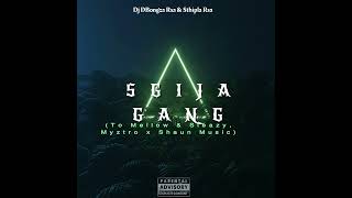 Sgija Gang (To Mellow & Sleazy, Myztro x Shaun Music Dj Maphorisa ) By Dj DBongza Rsa & Sthipla Rsa