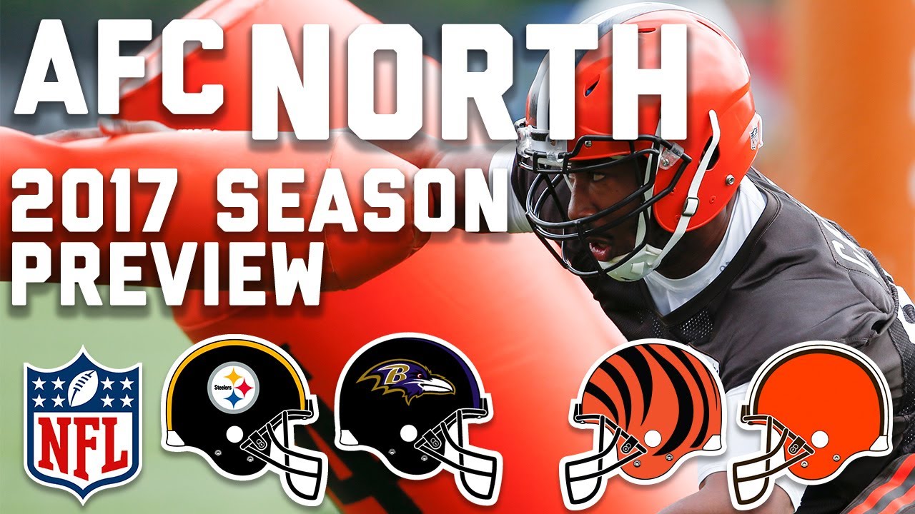NFC North training camp preview: Key issues, players to watch