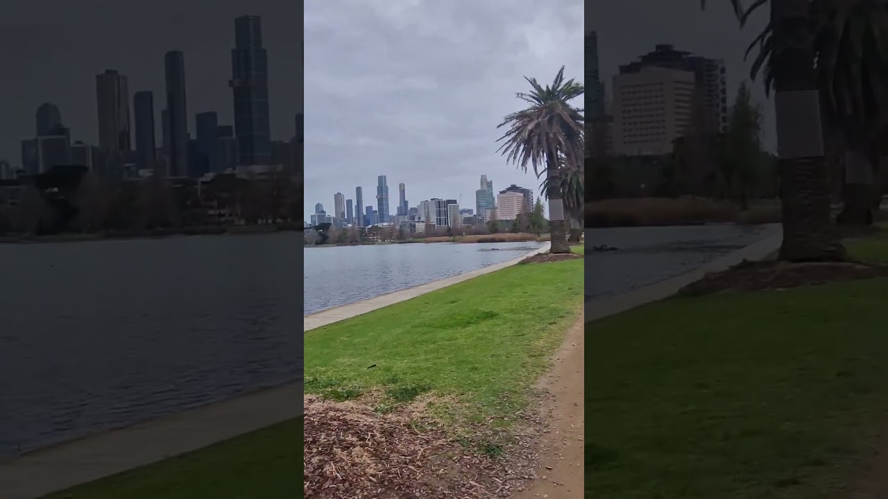 Run number 2 around Albert park. Quick 5 miles. 