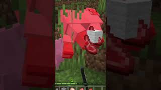 #rare #minecraft