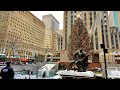 New York City Live Walk at Central Park after heavy Snowstorm ❄️ (December 18, 2020)