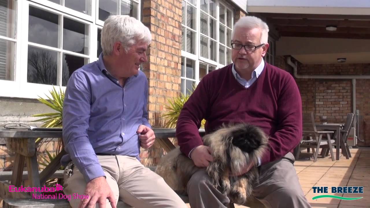 The Eukanuba National Dog Show YouTube