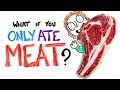 What If You Only Ate Meat?