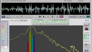 6 The Harmonicsignature Recognizes The Persons Voice With Biosonicfft