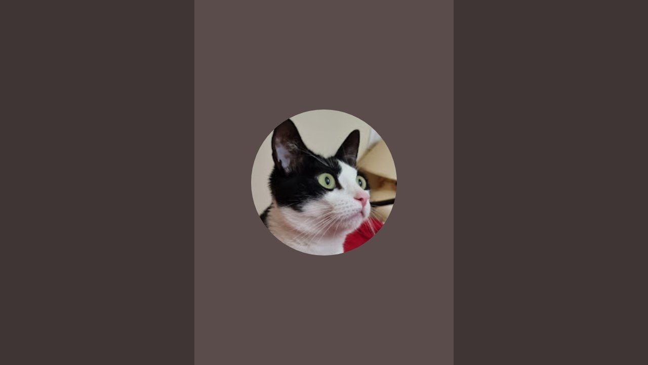 ¡ELIS gatita camionera!!! 🐈 está emitiendo en directo!