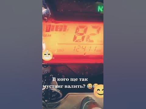 мустанг регіон😎 - YouTube