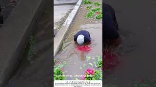 Washing Fresh Red Radishes in a Clean Pond – Mud to Shine 🥕💧