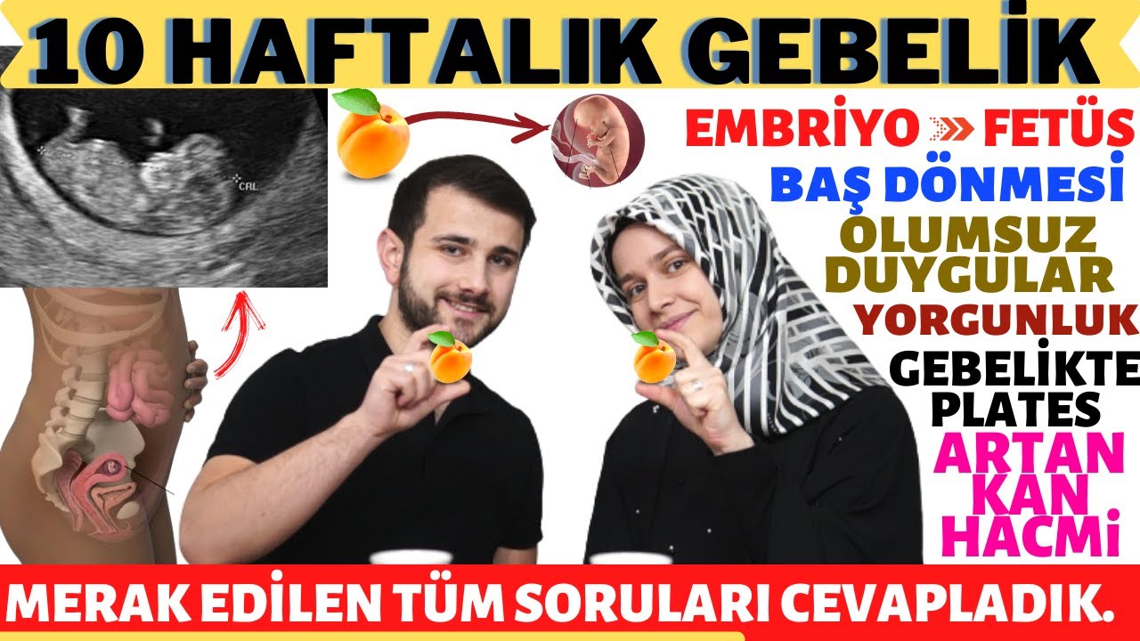 10 Haftalık Gebelik Döneminde Neler Oluyor? @rabiasahin