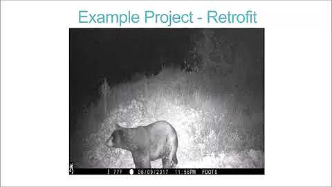 5   Florida Panther Bridge Retrofits   Setchell