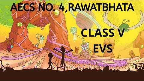 Class V EVS Ch 07 ( Experiments With Water) -Part 01