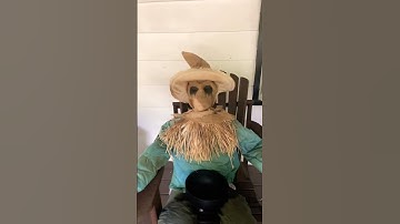 Sitting scarecrow demo