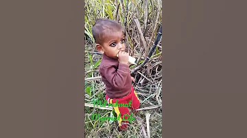 Md Rahmatansari Gmail Com 