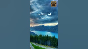 يا أيها الناس أتقوا ربكم إن زلزلة الساعة شئ عظيم - سورة الحج - القارئ ماهر المعيقلى