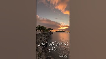سورة فاطر 🌿🎧 #فلسطين_حرة #المصحف #راحة_نفسية #الرحمن #اللهم_صل_وسلم_على_نبينا_محمد